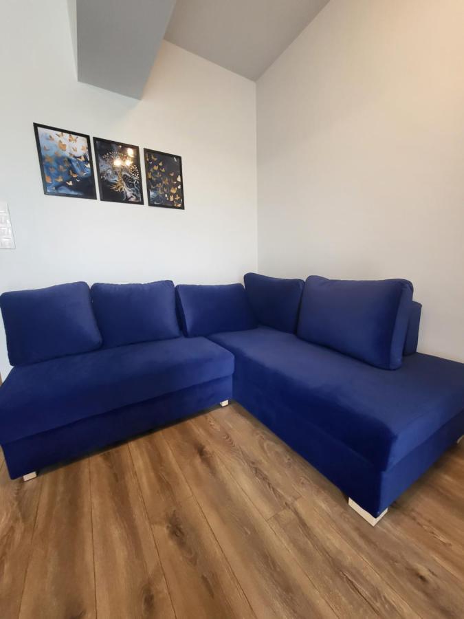 Nest Niebieski Zator Kültér fotó